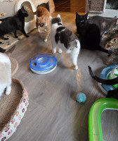 /album/262/whatsapp-image-2026-04-08-at-16-51-19-1-jpeg/